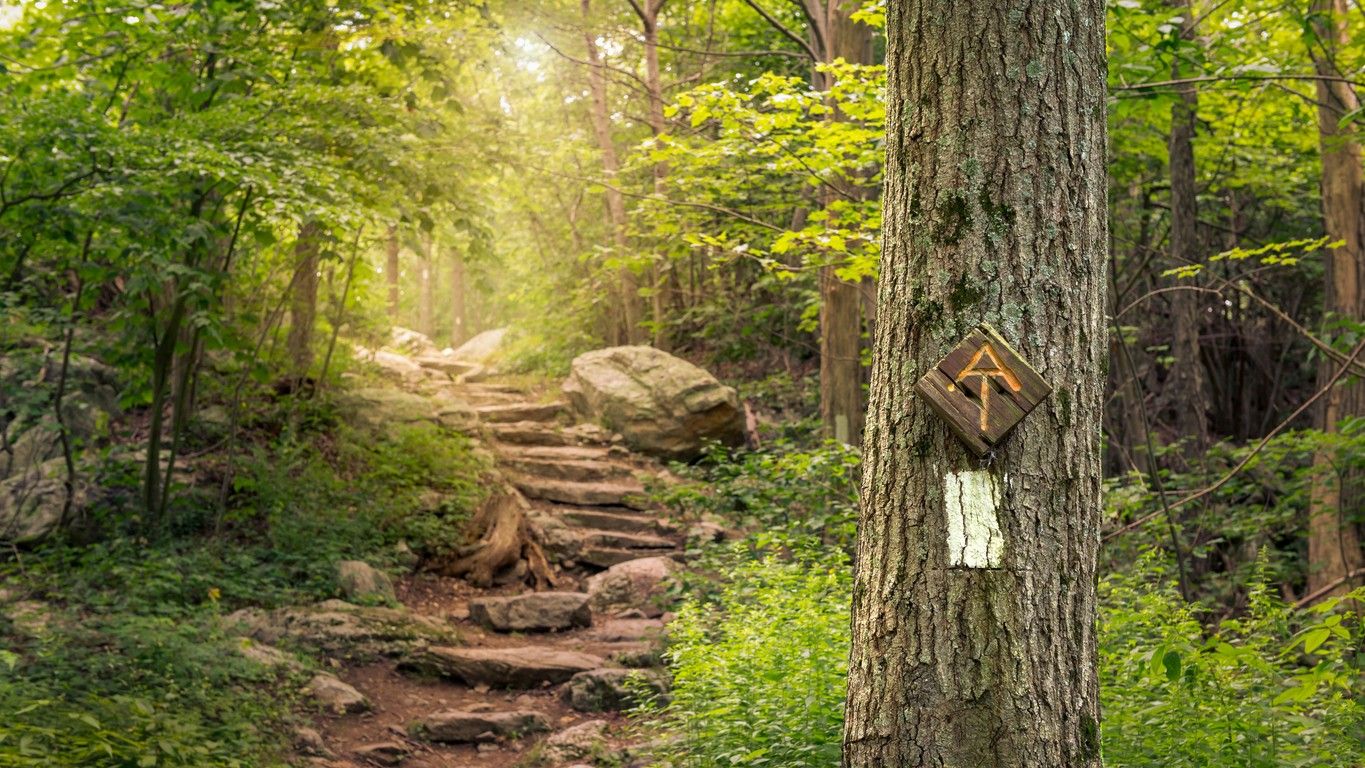 The Appalachian Trail 