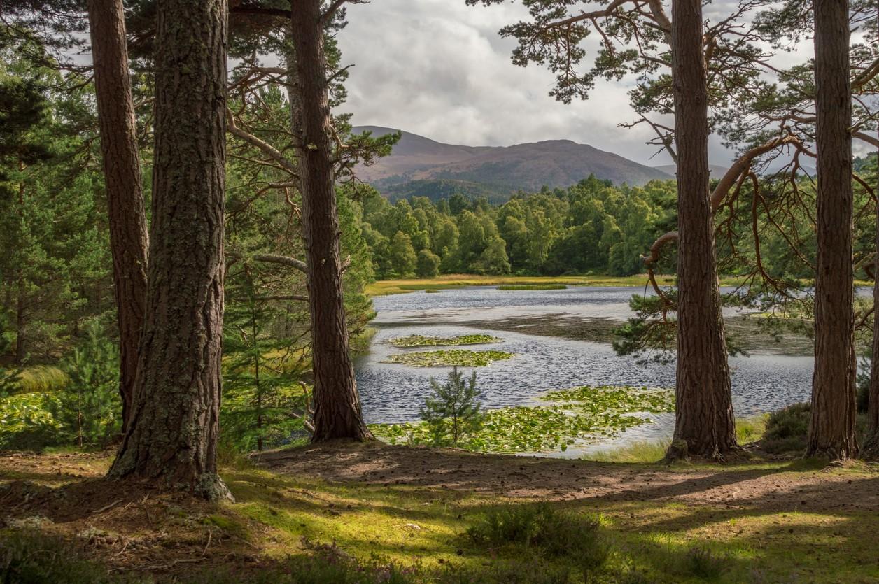 Cairngorms National Park