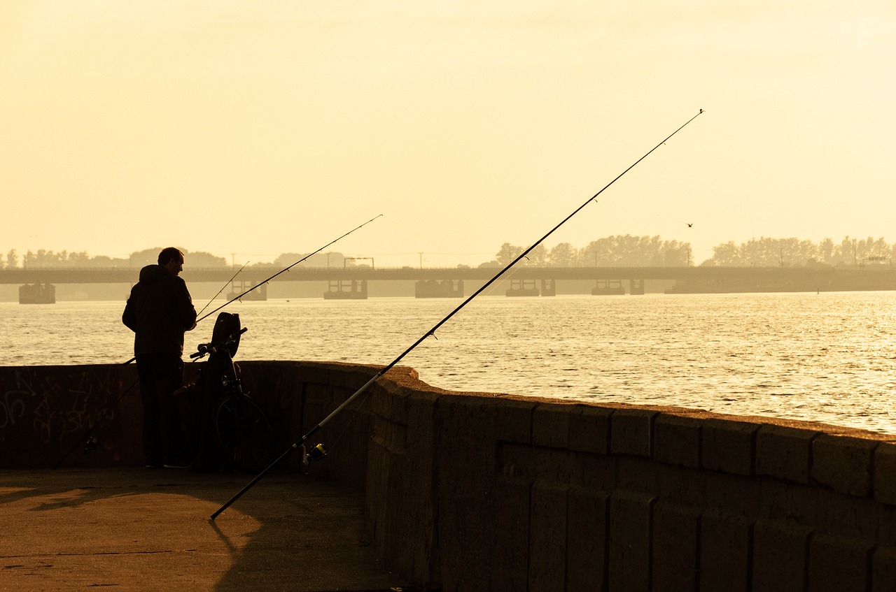 fishing reels