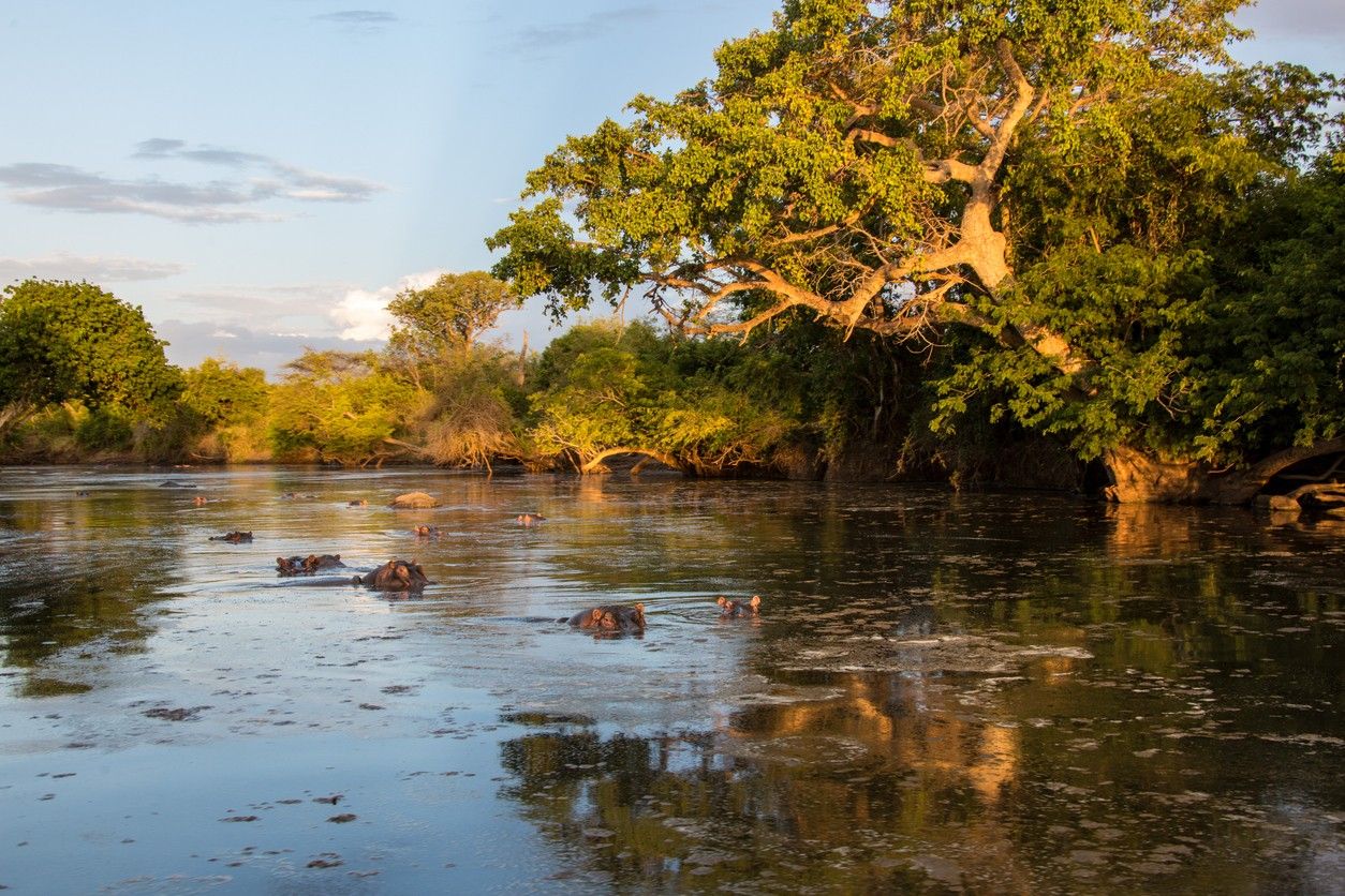 Serengeti National Park