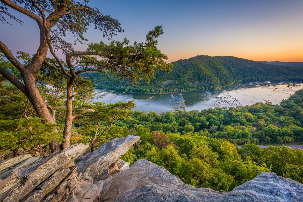 The Appalachian Trail 