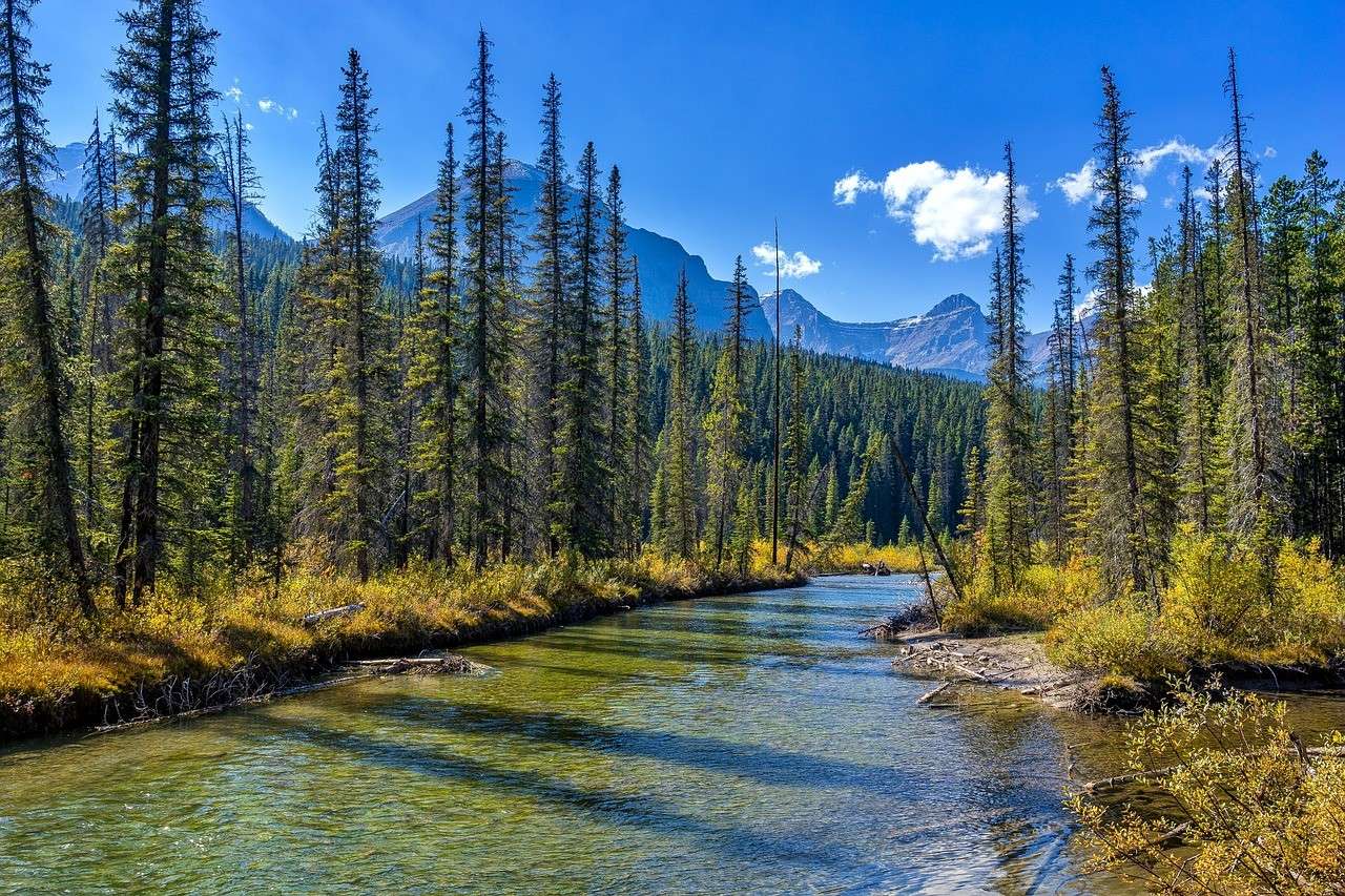 Jasper National Park