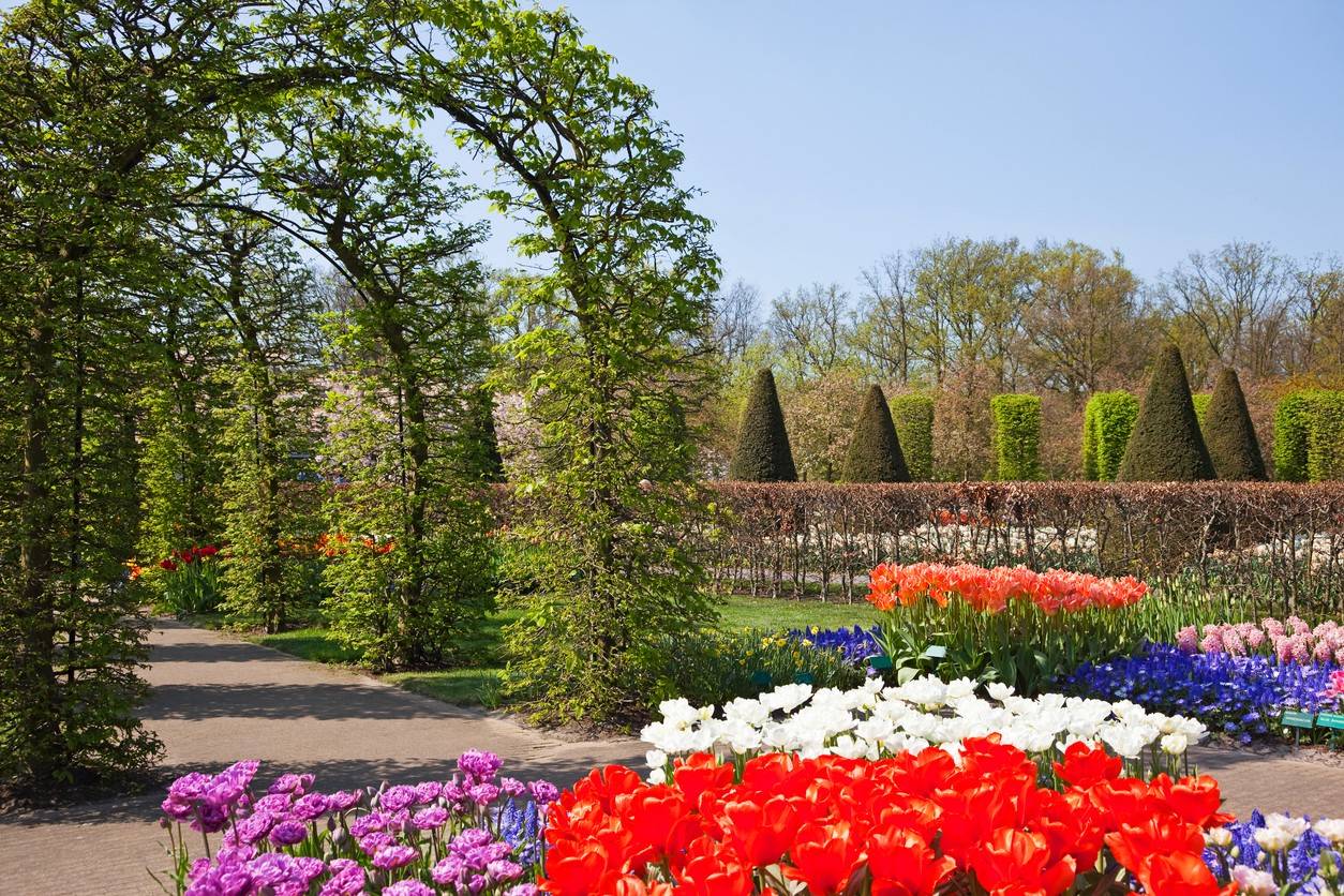 Keukenhof Gardens