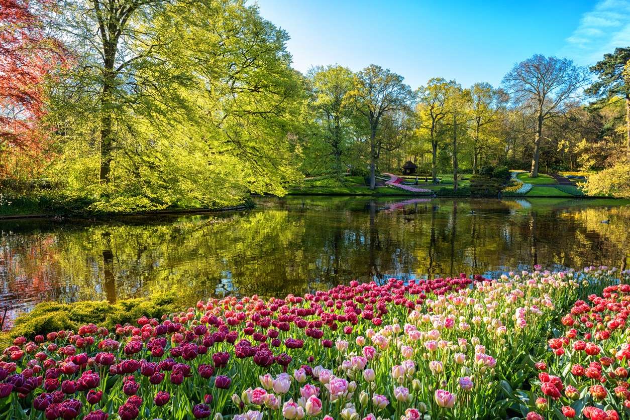 Keukenhof Gardens