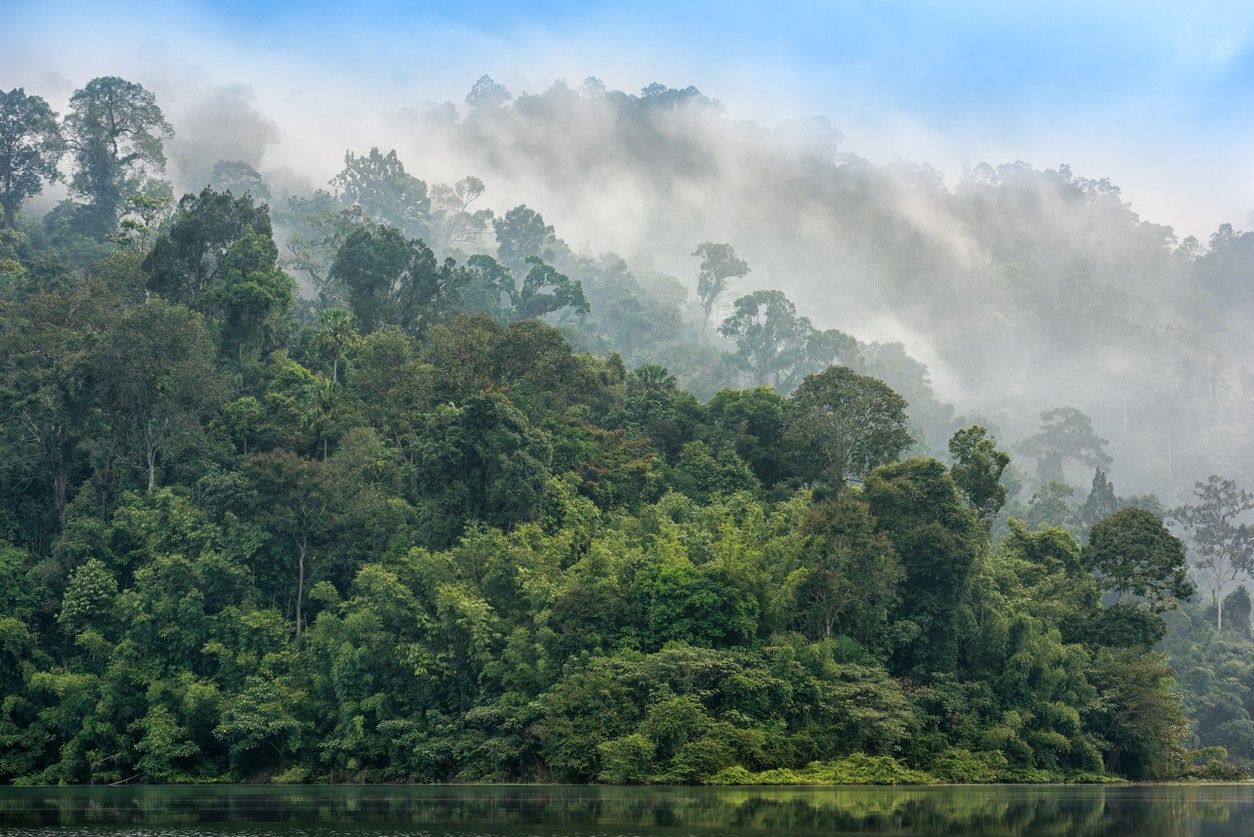 Khao Sok National Park