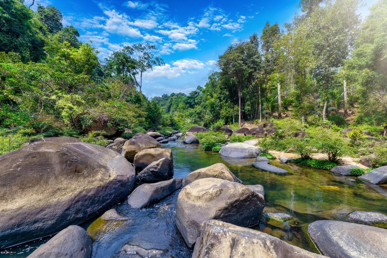 Khao Sok National Park