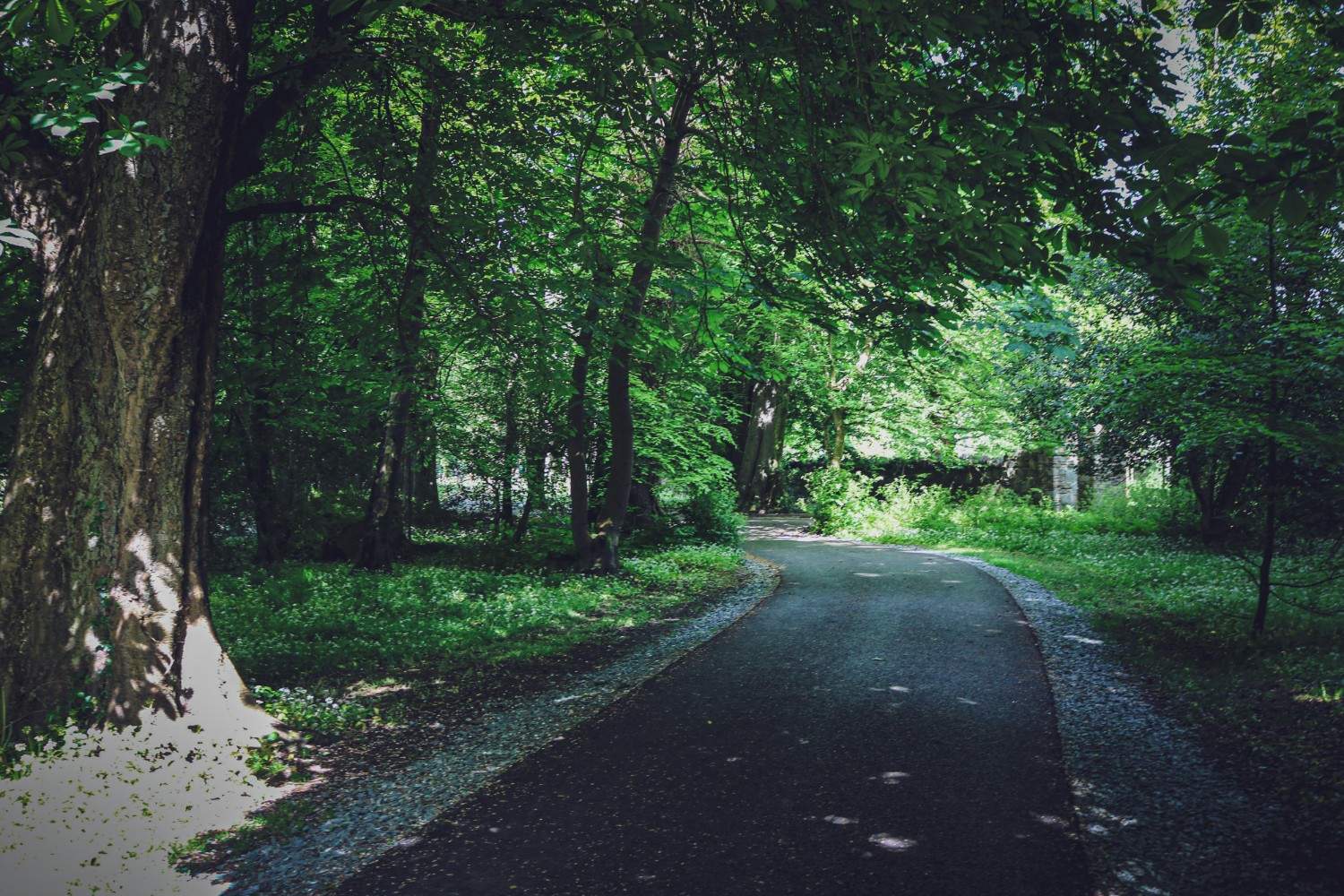 Killarney National Park 