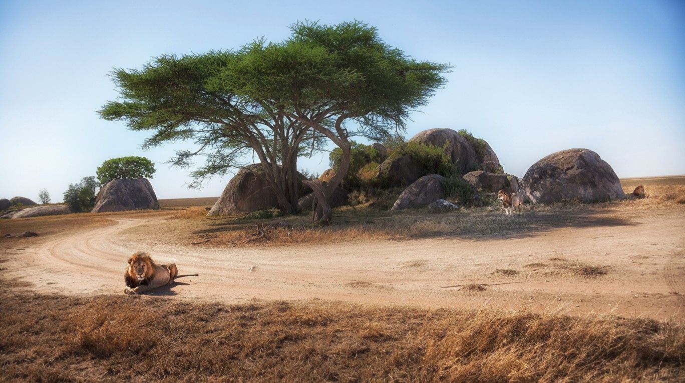 Serengeti National Park