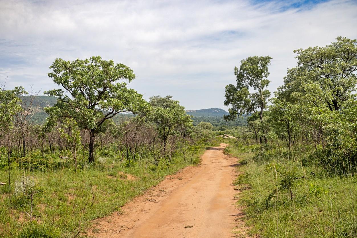 Kruger National Park