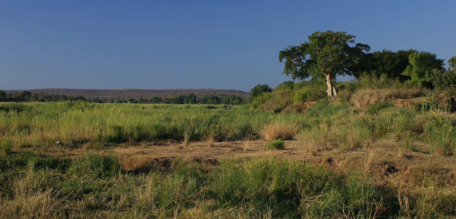 Kruger National Park