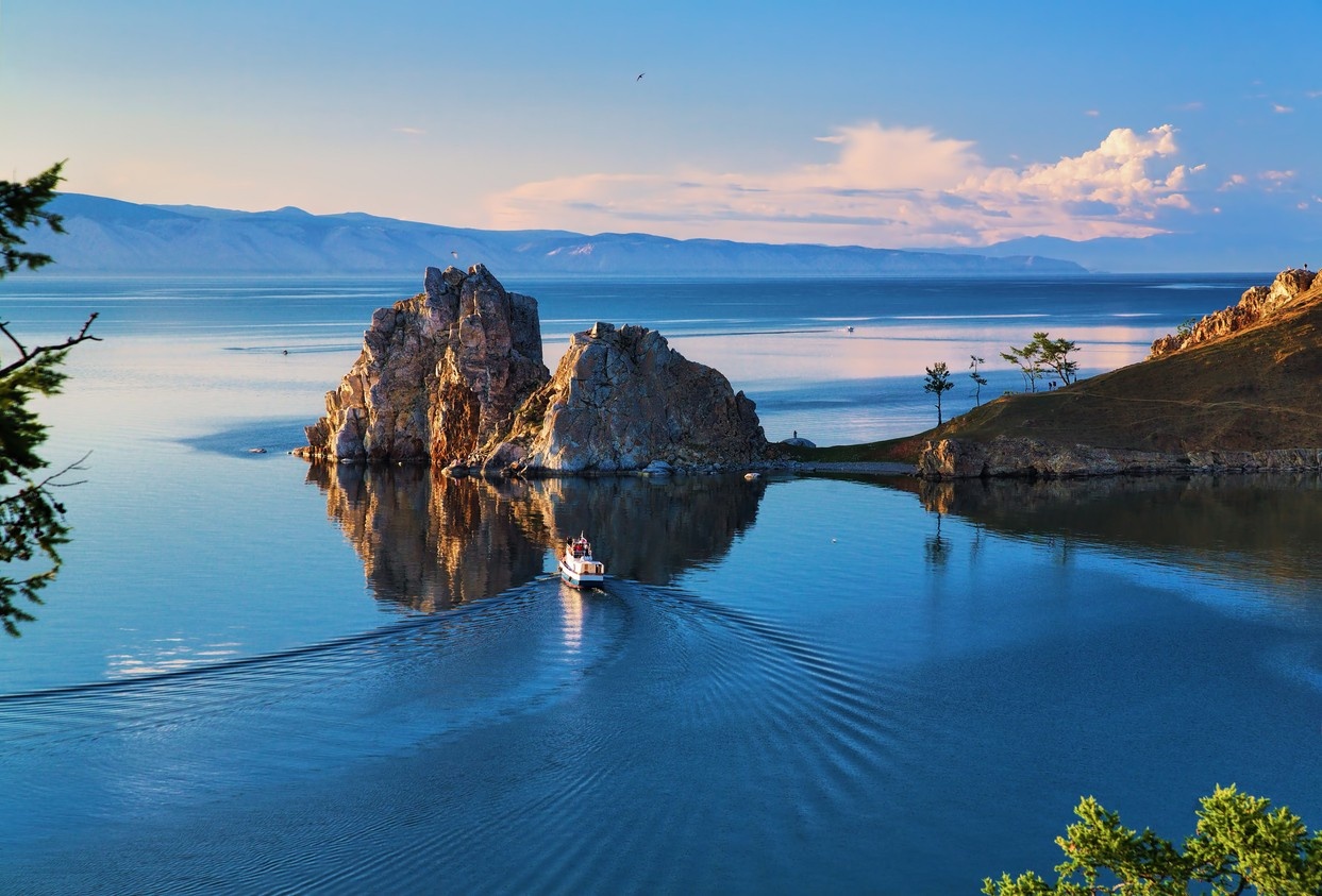 Seals at Lake Baikal