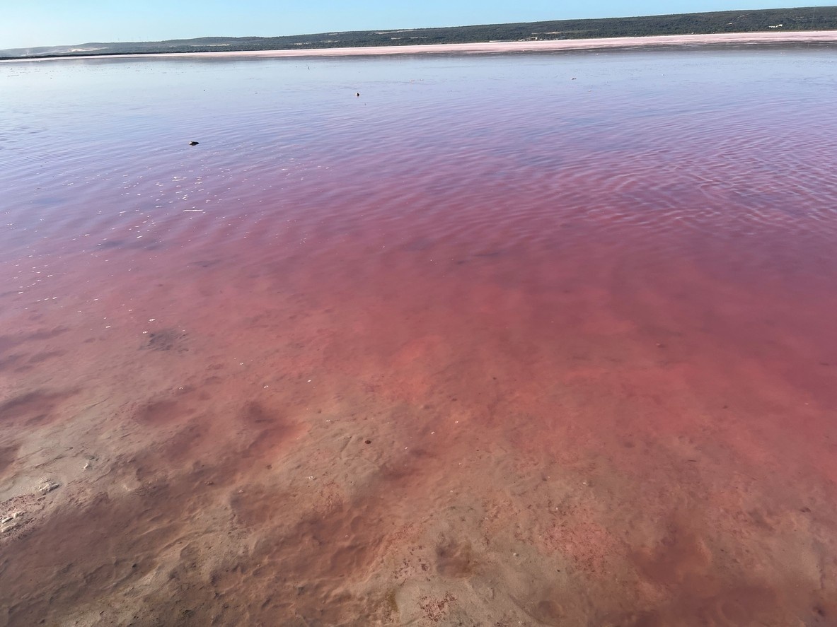 Lake Hillier 