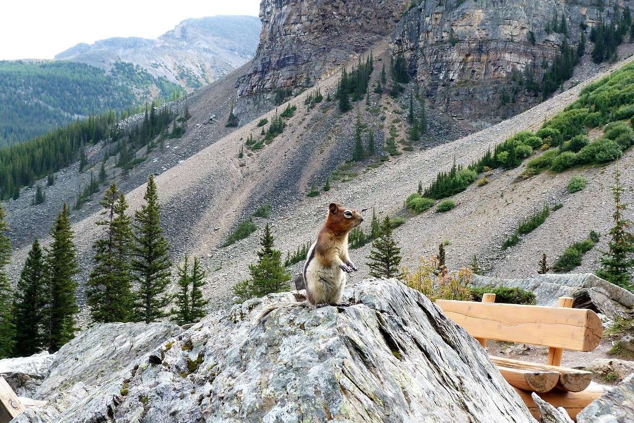 Moraine Lake