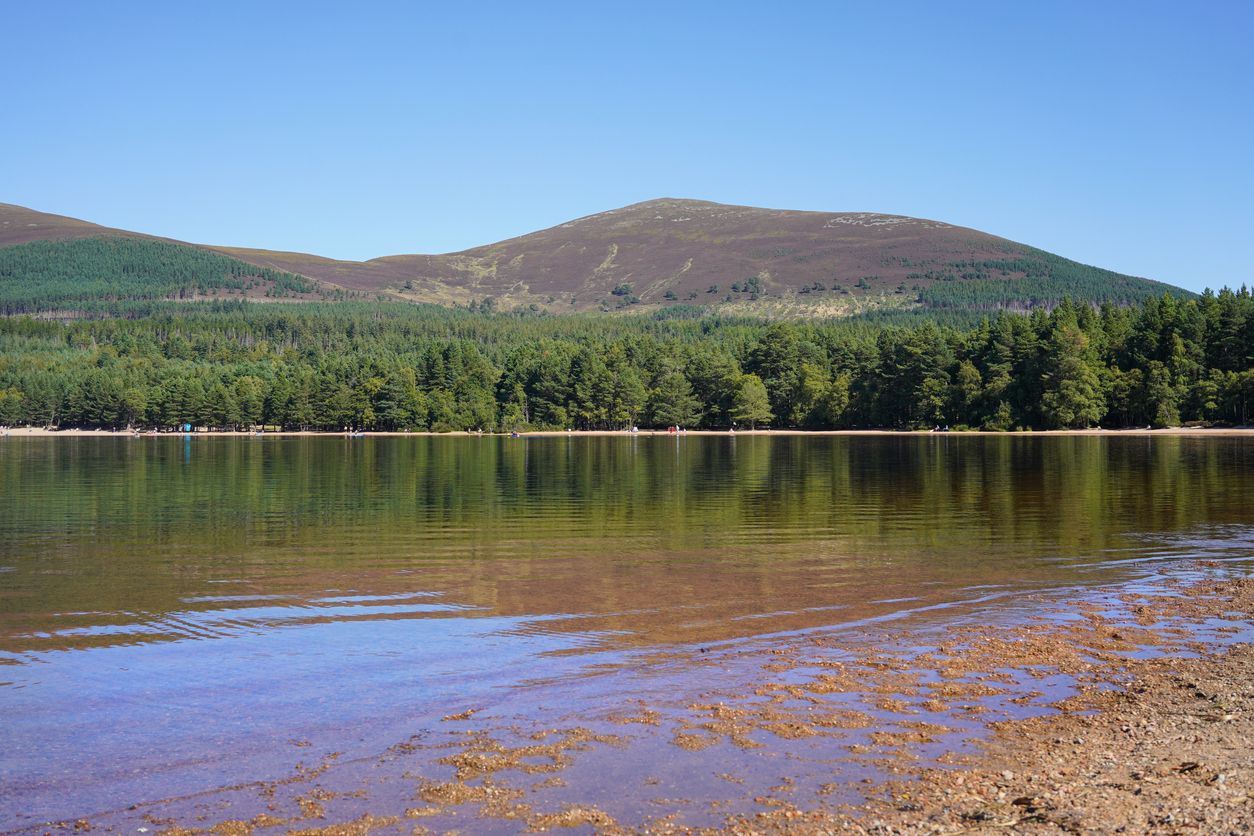  loch morlich