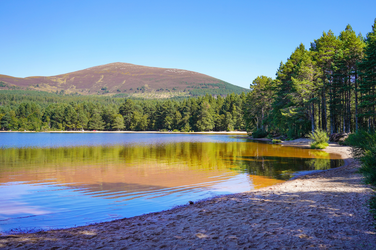  loch morlich