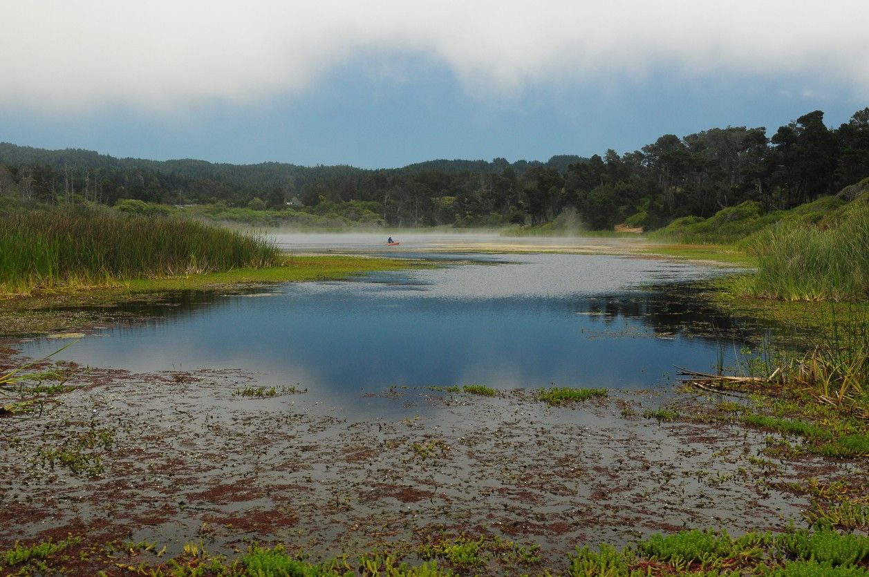 MacKerricher State Park