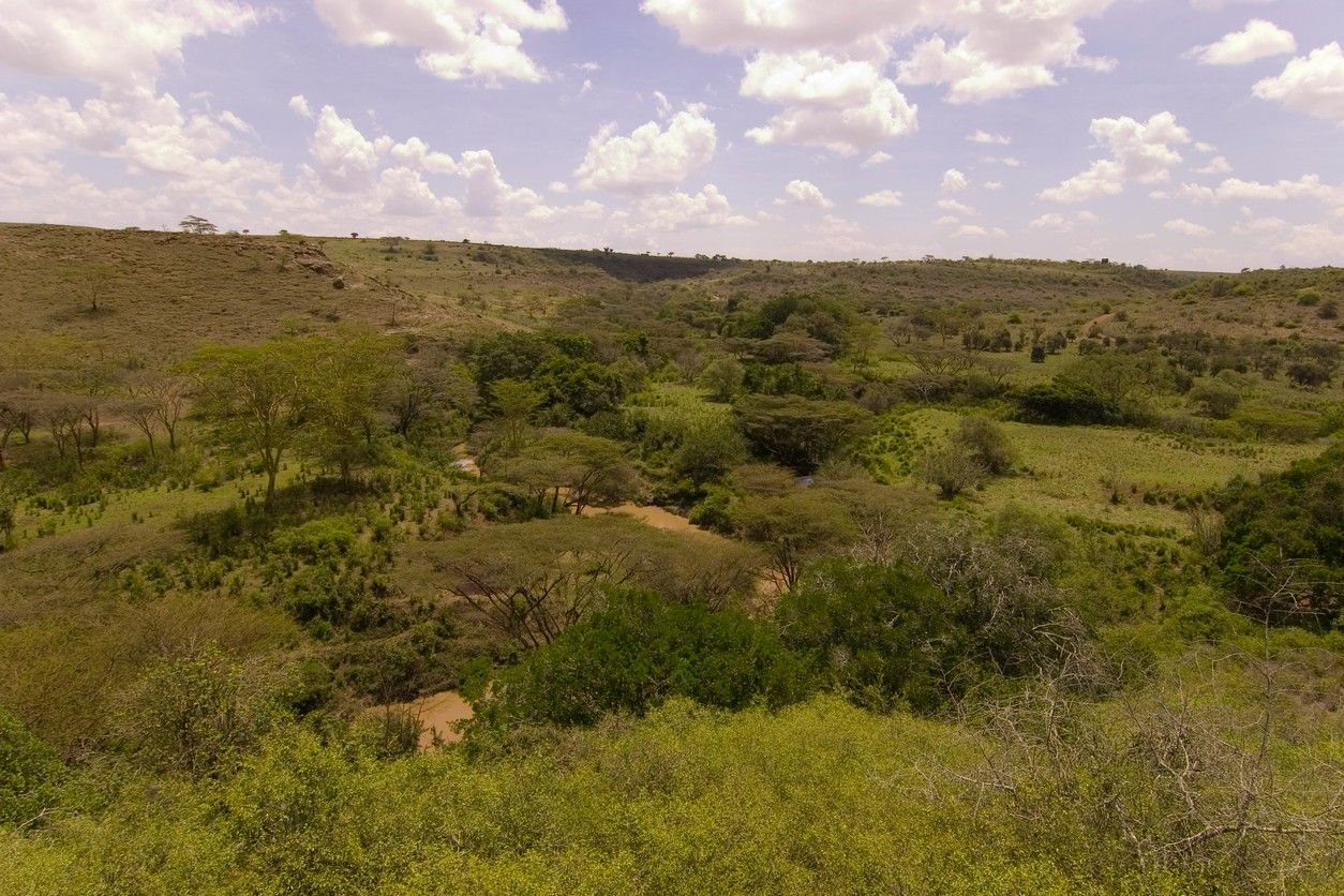 Nairobi National Park