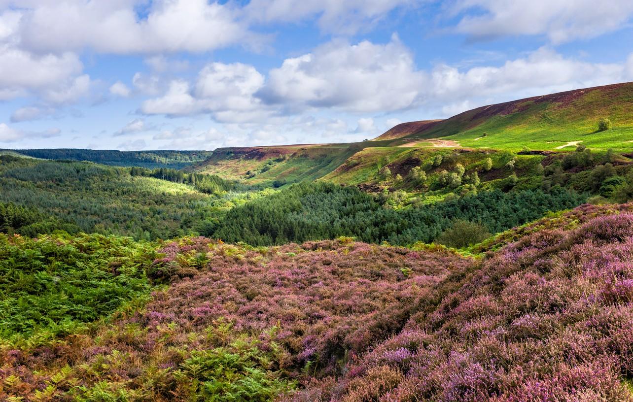 North York Moors National Park 