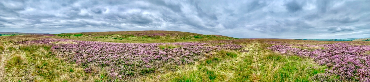 North York Moors National Park 