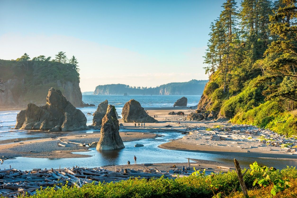 Olympic National Park