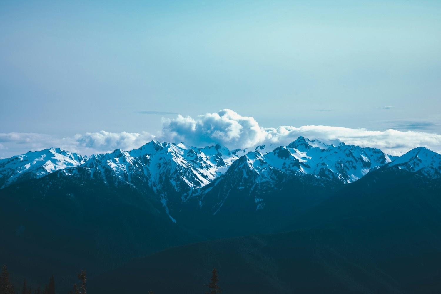 Olympic National Park