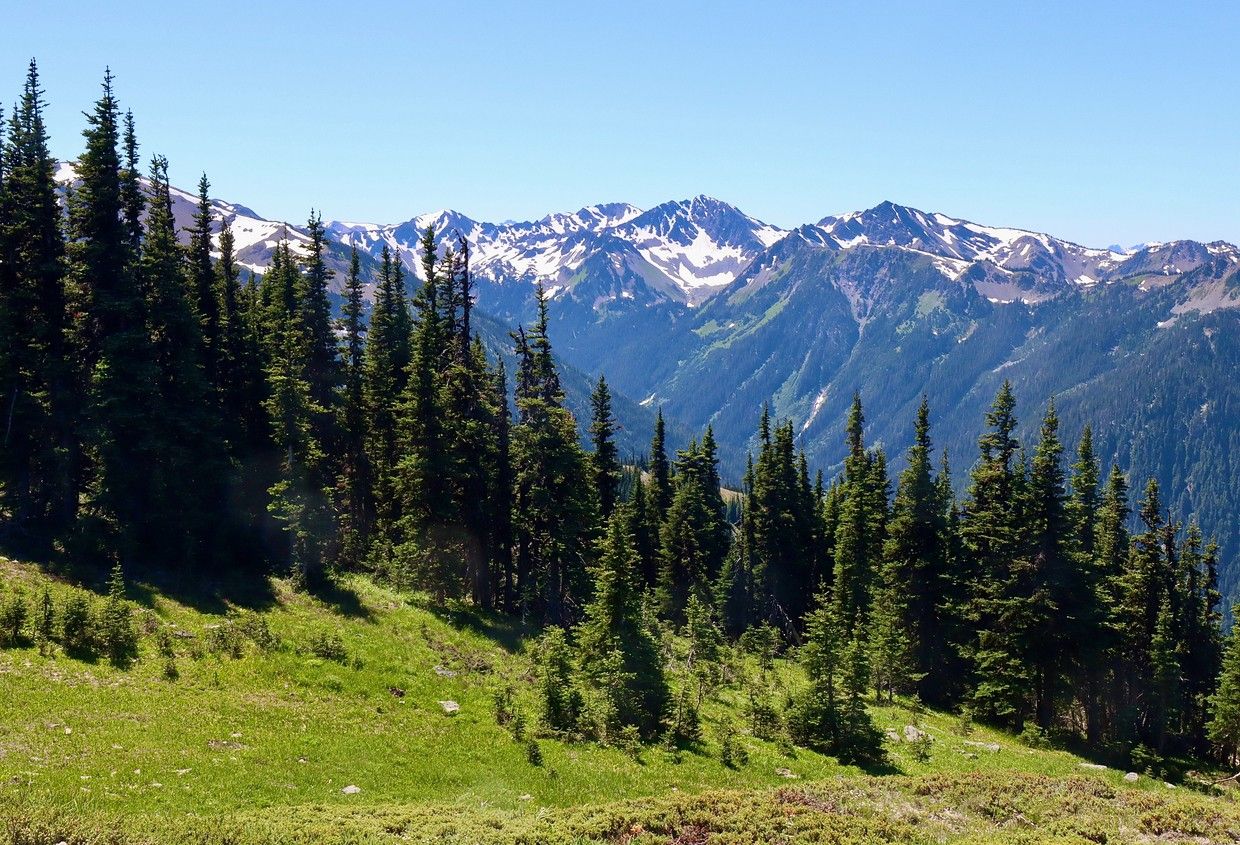 Olympic National Park