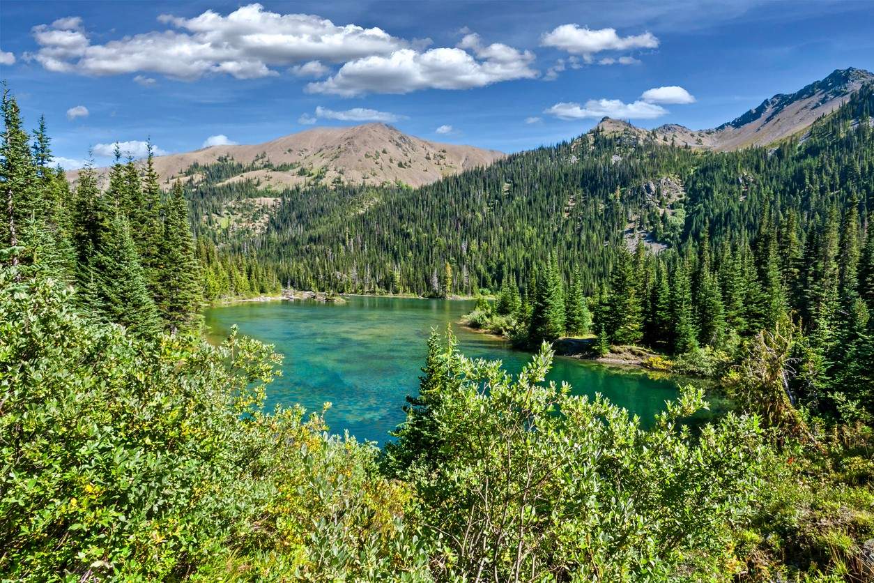 Olympic National Park