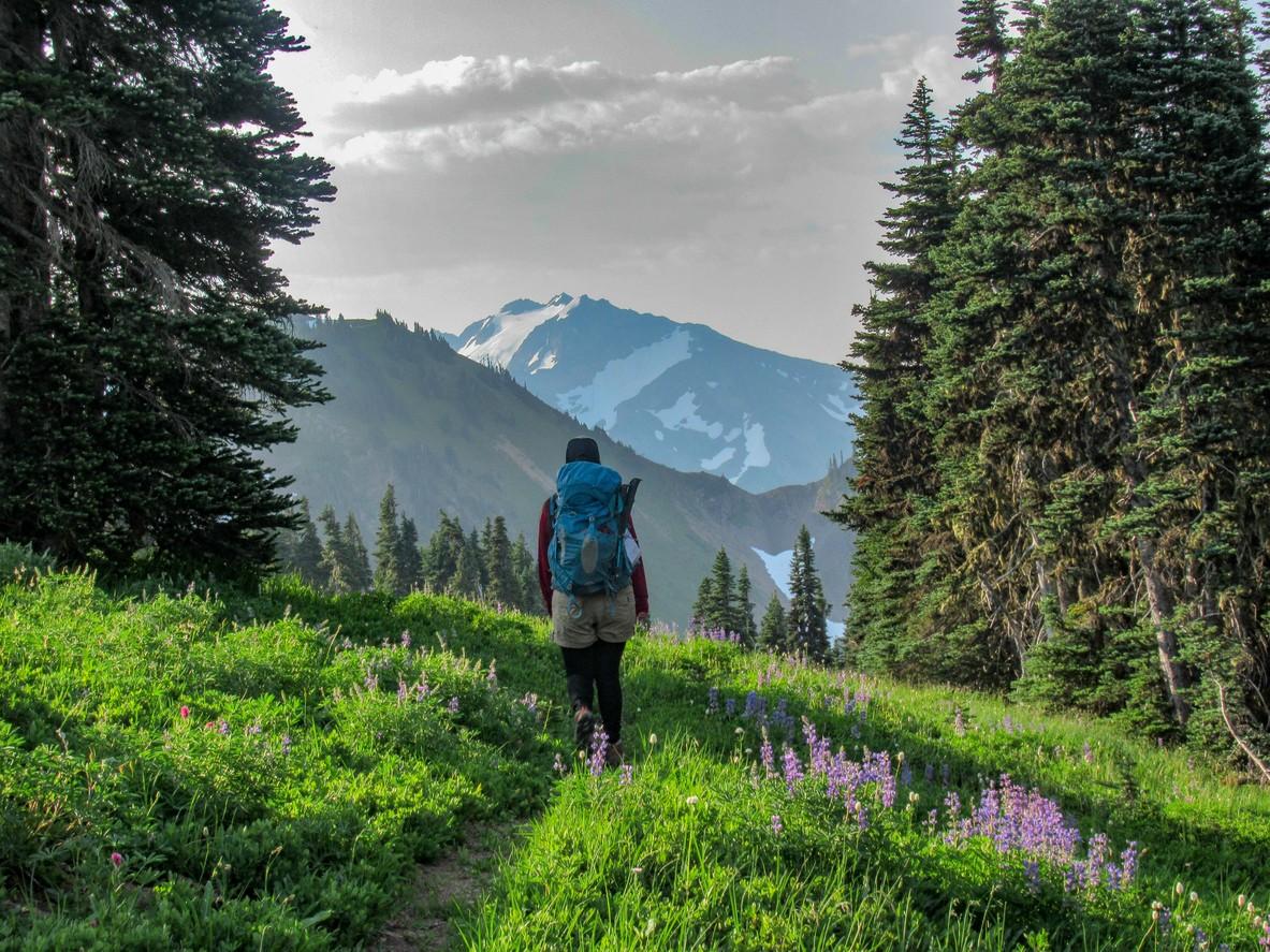 Olympic National Park