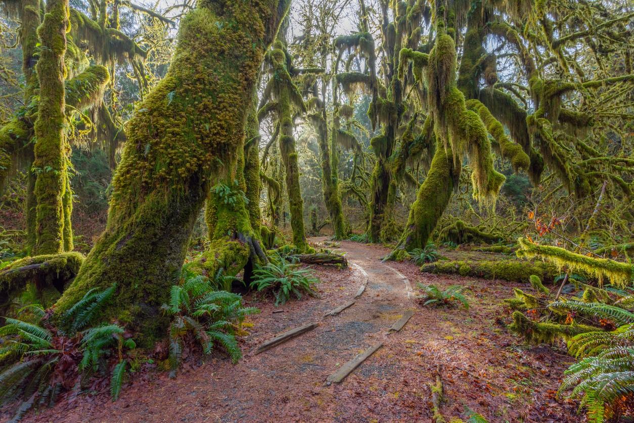 Olympic National Park