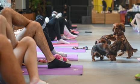 puppy yoga