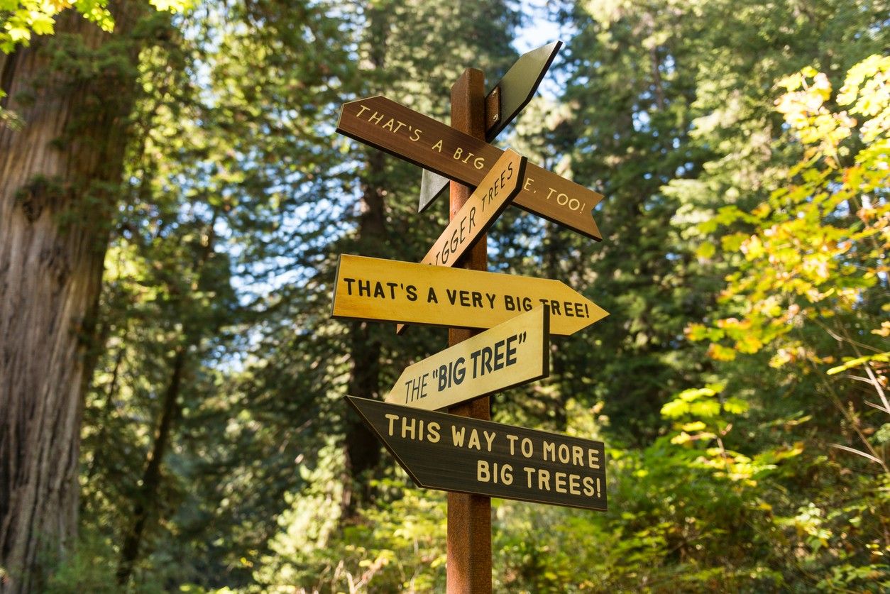 Redwood National and State Parks