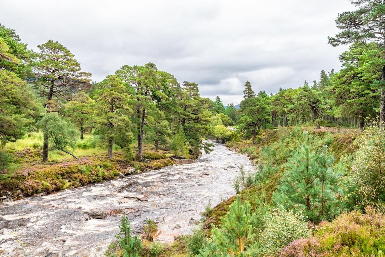 River Dee airngorms National Park