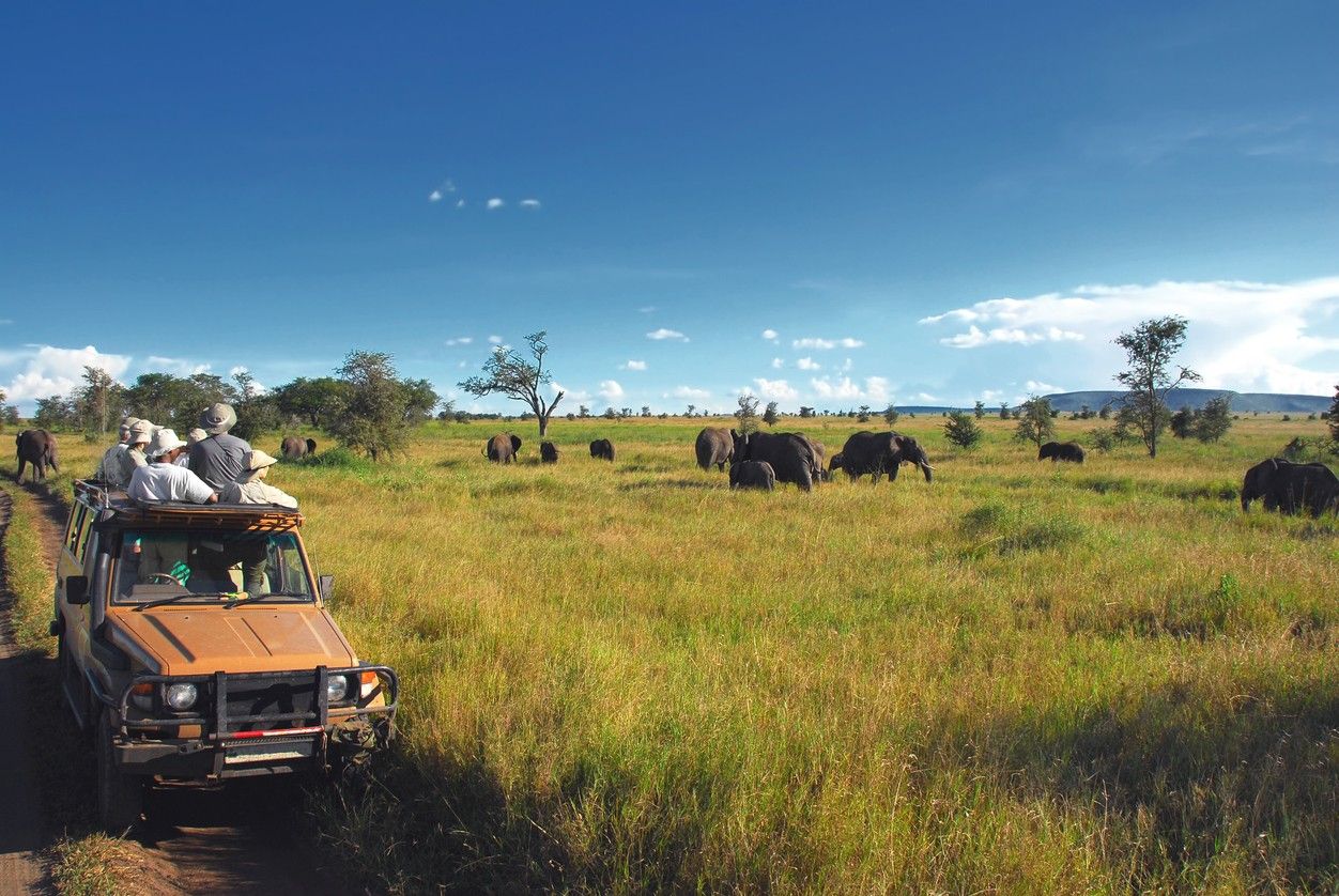 Serengeti National Park