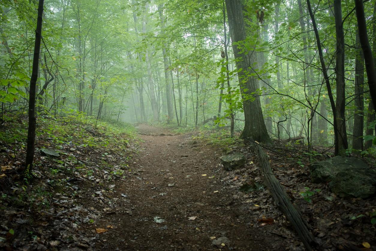 Shenandoah National Park 