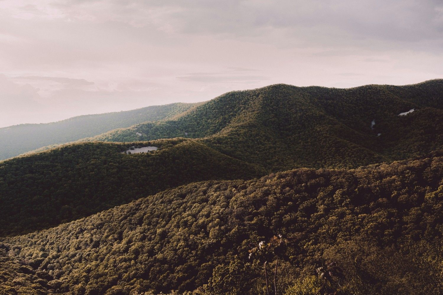 Shenandoah National Park 