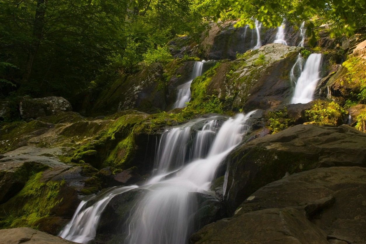 Shenandoah National Park 