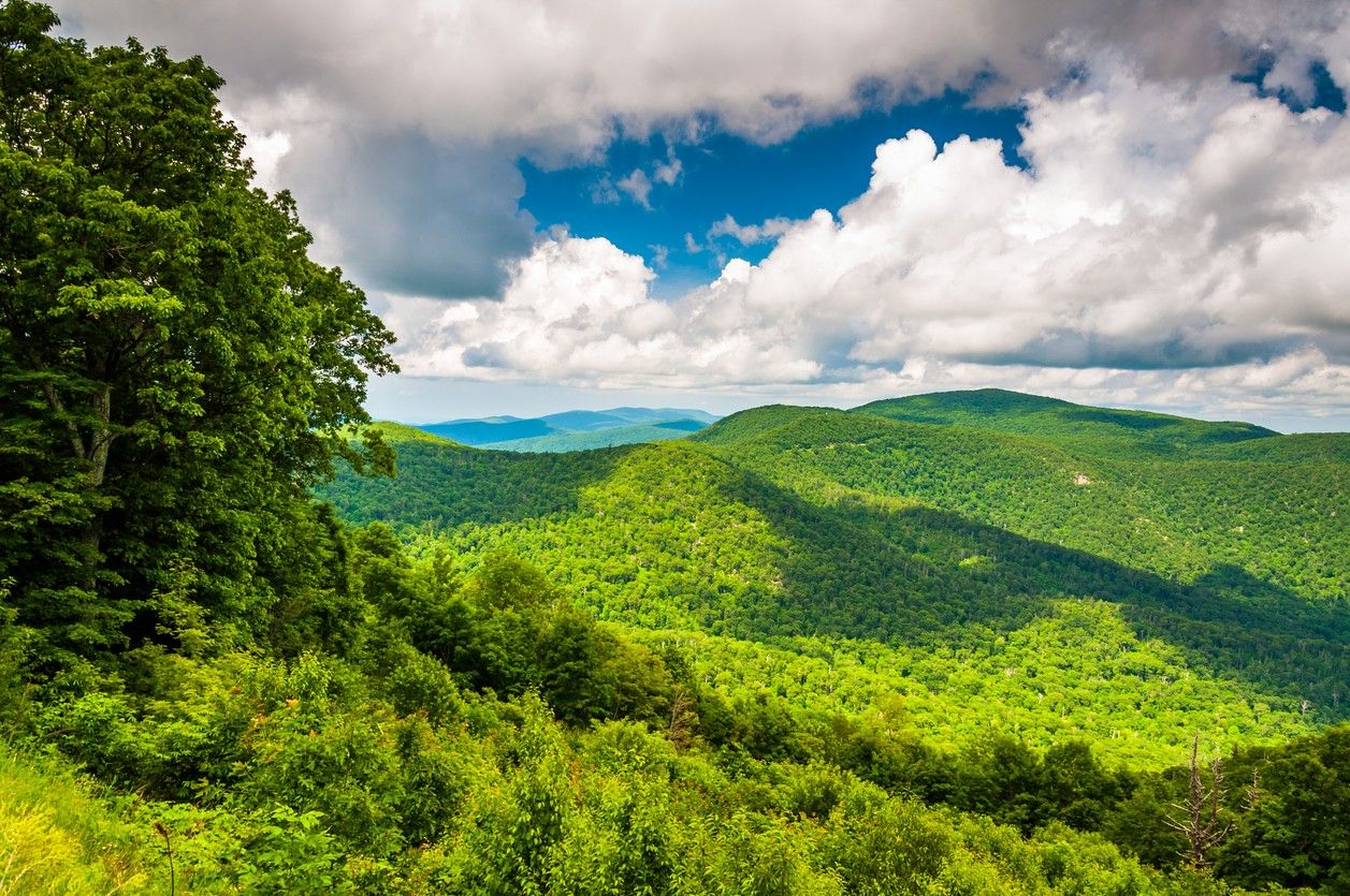 Shenandoah National Park 