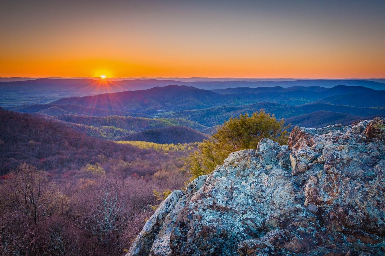 The Appalachian Trail 