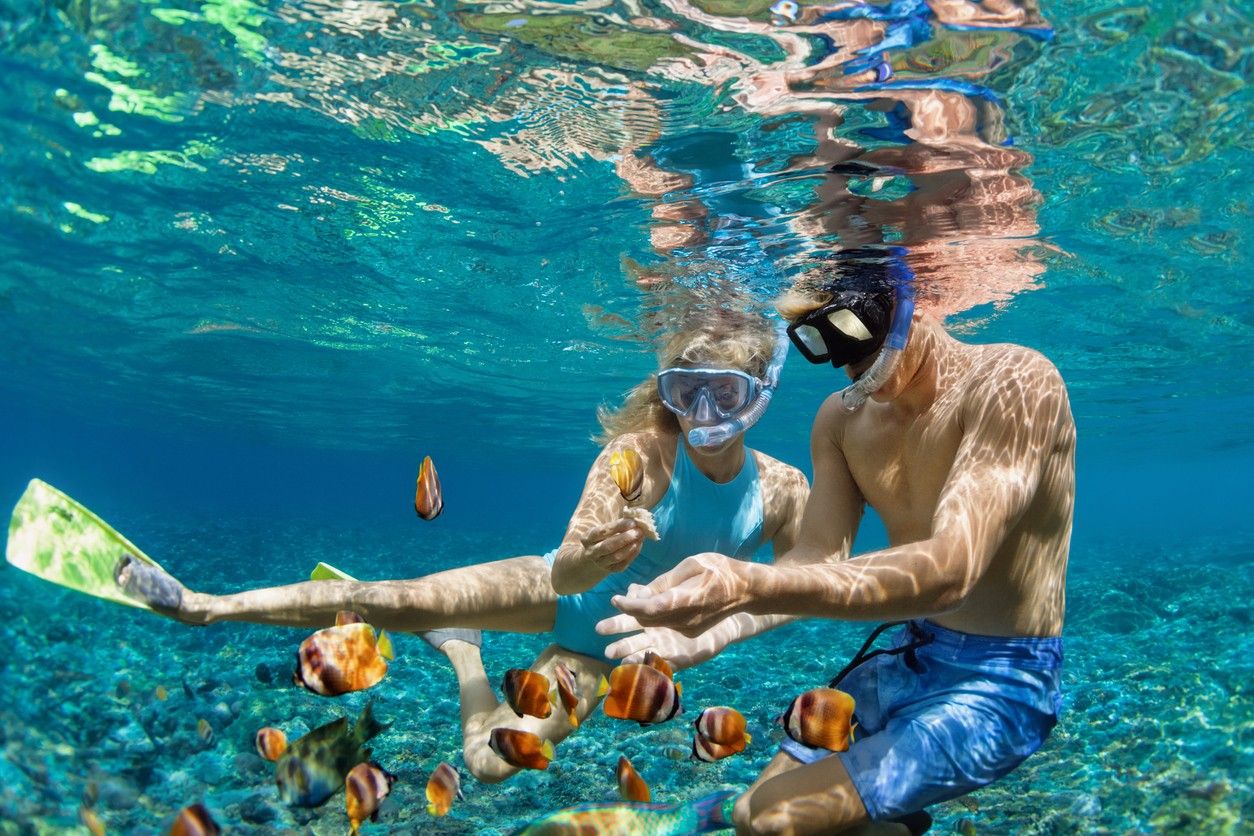 Couple snorkelling