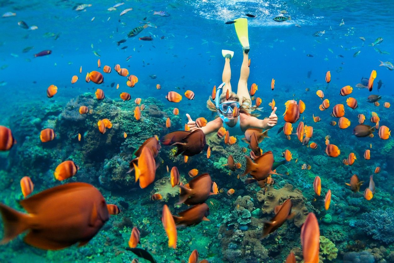 Couple snorkelling