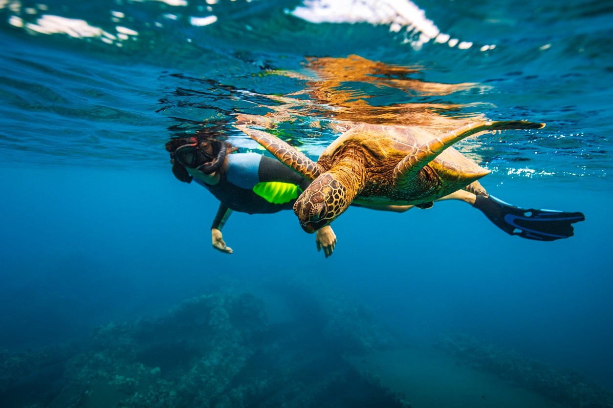 Couple snorkelling