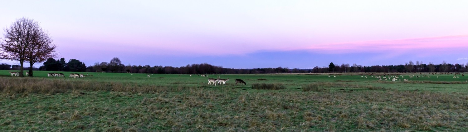 Tatton Park