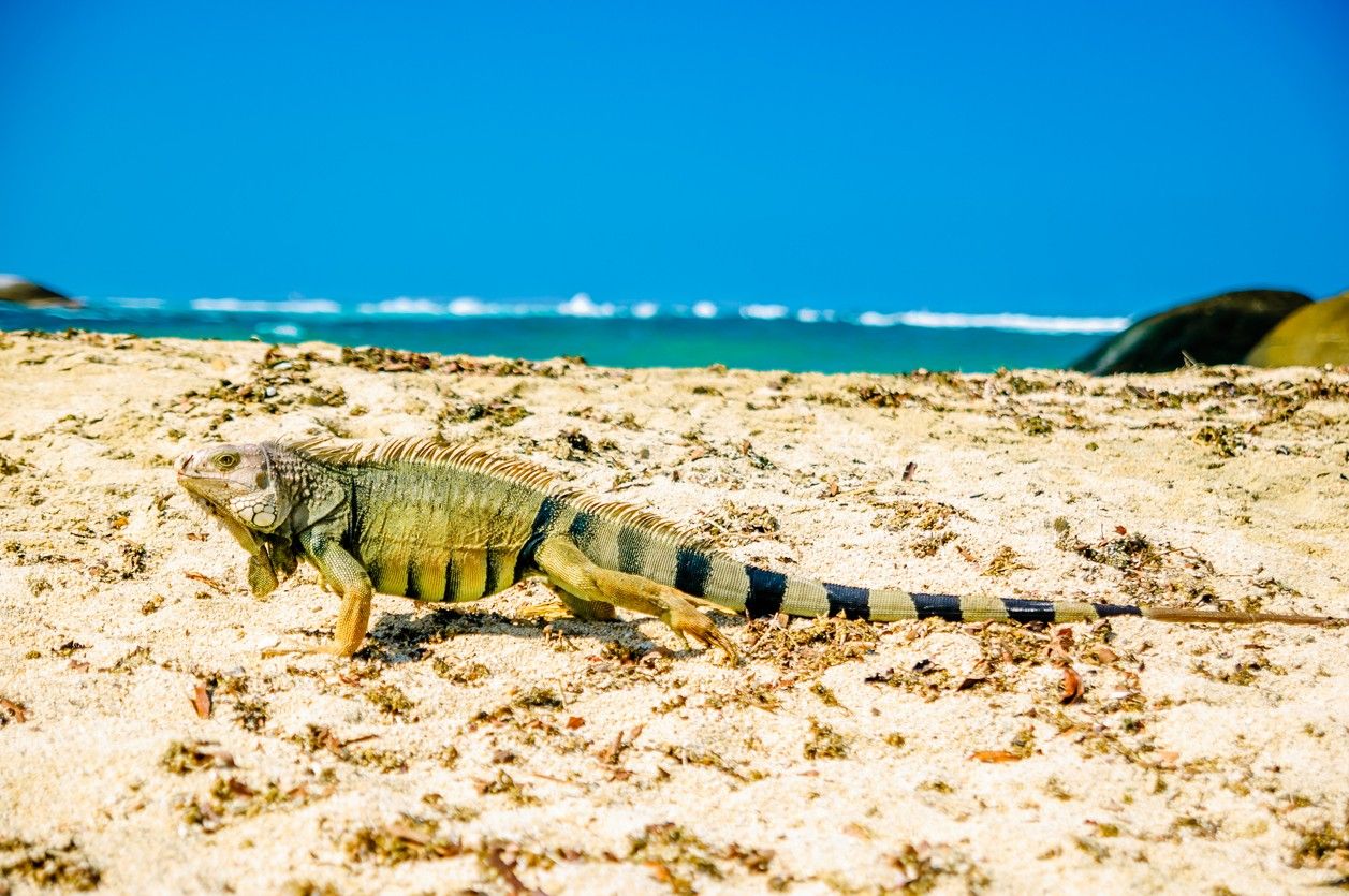 Tayrona National Park