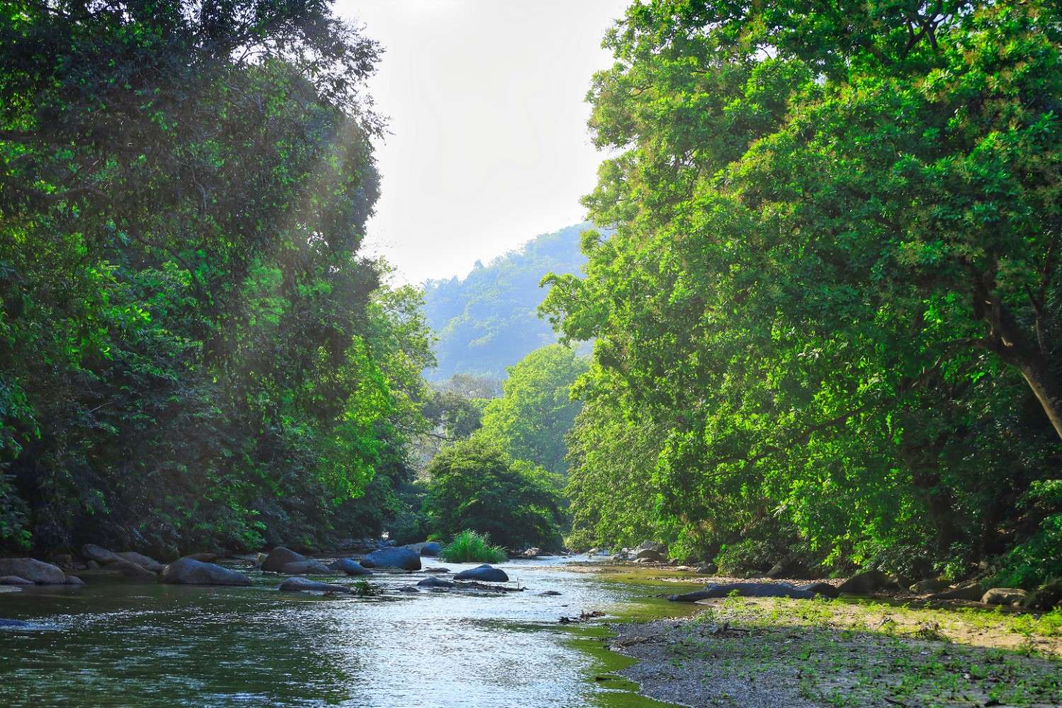 Tayrona National Park