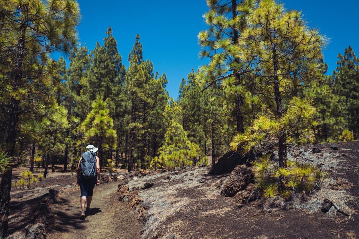 Teide National Park