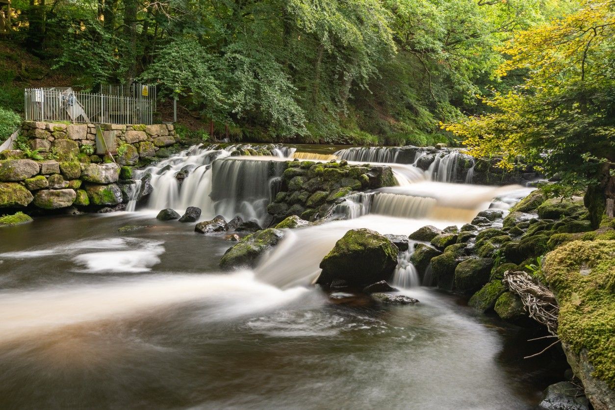 Teign Gorge