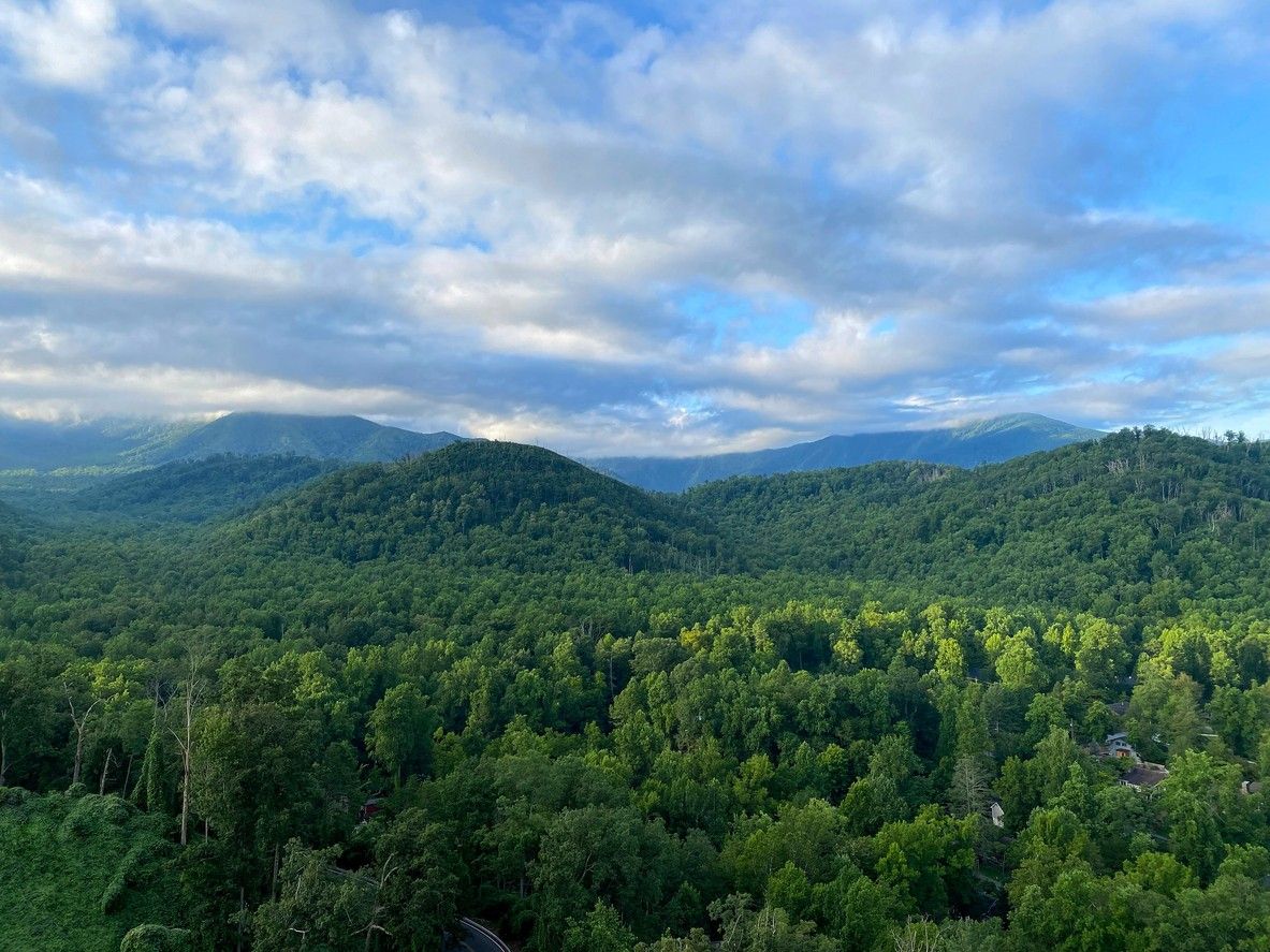 The Appalachian Trail 