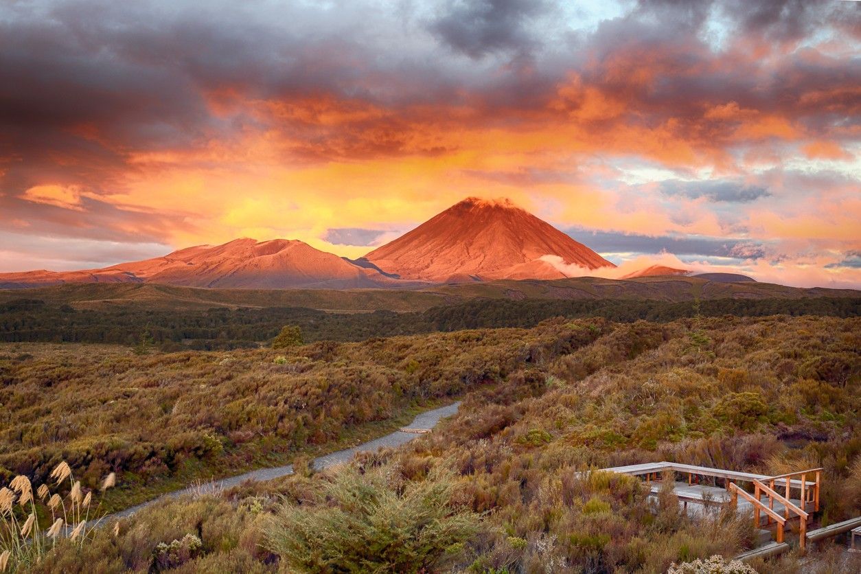 Tongariro National Park