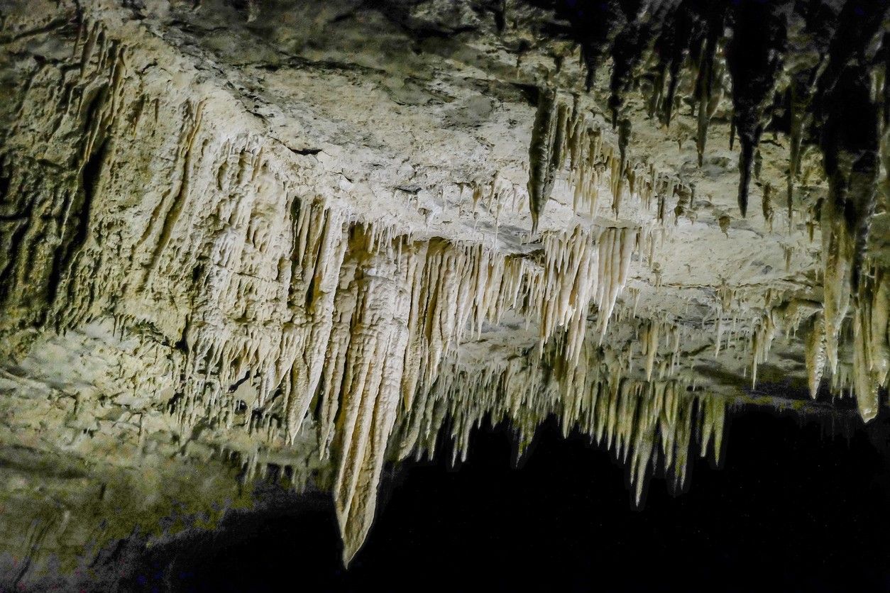 Waitomo Glowworm Caves