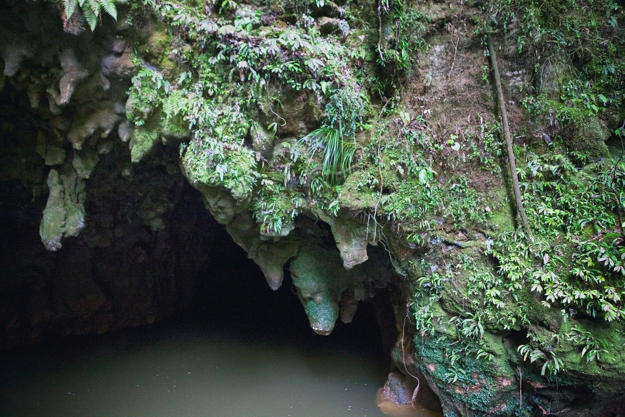 Waitomo Glowworm Caves